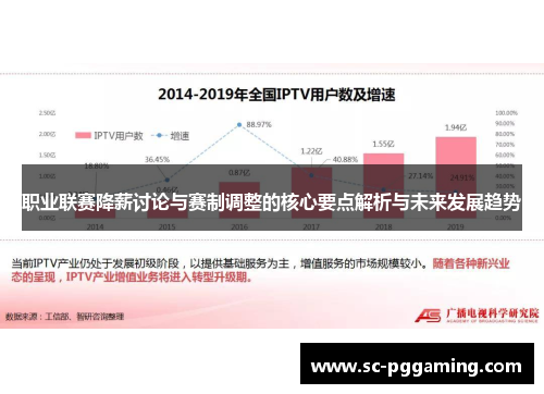 职业联赛降薪讨论与赛制调整的核心要点解析与未来发展趋势