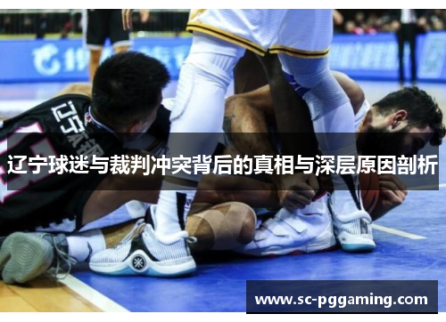 辽宁球迷与裁判冲突背后的真相与深层原因剖析