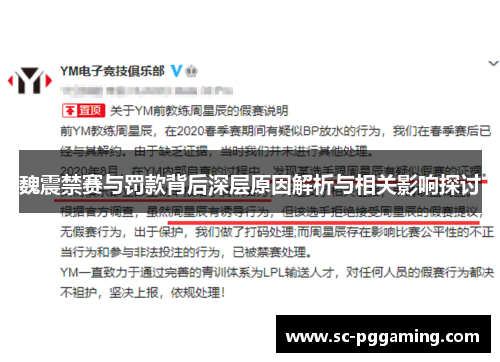 魏震禁赛与罚款背后深层原因解析与相关影响探讨